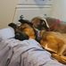 Michelle Landes - Facebook