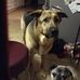 Michelle Lapoint - Facebook
