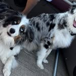 Michelle LaPoint Stanley - @kyranathan - Instagram