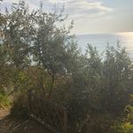 Michelle Lark - @michelle.lark.lifeadventurer - Instagram