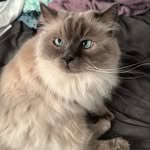 Michelle - @michellelarocque3 - Instagram