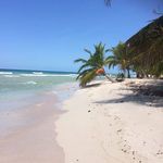 Michelle Lashley - @yvonnelashley1 - Instagram
