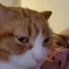 Michelle Layfield - @michelle.layfield - TikTok