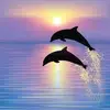 Michelle Lear - @michelle.lear7 - TikTok