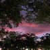 Michele Lefkowitz - Facebook