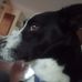 Michelle LeCompte - Facebook