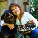 Michelle LeCompte - @lecomptemichelle - Instagram
