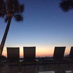 Michelle Lynn - @michelle.leddy.94 - Instagram