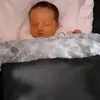 michelle lees - @michellelees2 - TikTok
