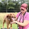 Shell at Chase Dogs - @michellelees39 - TikTok