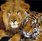 Michelle Leffler Corbett - Facebook