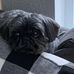 Michele Leftwich Sapp - Facebook