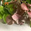 Michelle Leftwich - @user53291497 - TikTok