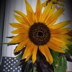 Michelle Leiter - @ptlady01 - Instagram