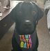 Chelle Lemmon - Facebook