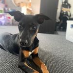 Michelle Lemmon - @lemmonmichelle - Instagram