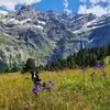 Michèle Lepage - @michle.lepage - TikTok
