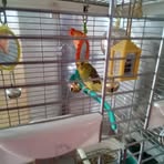 Michelle Lepage - Facebook