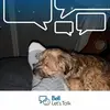 Michelle Lepage - @michellelepage0 - TikTok