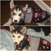 Michelle Lepine - Facebook
