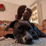 Michelle Leveille Kwak - @kwak3774 - Instagram