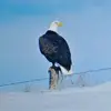 michelleleyba - @michelleleyba - TikTok