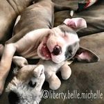 Liberty Belle Michelle - @liberty.belle.michelle - Instagram