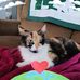 Michelle Liebenthal - Facebook