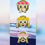 Michelle Liebl - @lieblmichelle - Instagram