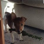 Michelle Liggett Hanna - @liggetthanna - Instagram