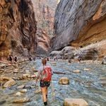 Michelle Lightner Petersen - @mishpetersen - Instagram