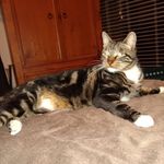 Michelle Linder - @butthead_and_buzz - Instagram
