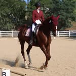 Michelle Lippincott - @michellelippincott - Instagram