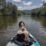 Michelle Lobb - @michellelobb78 - Instagram