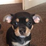 Michelle - @michellelockerr2020 - Instagram