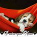 Michelle Locker - Facebook