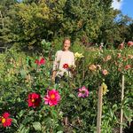 Michelle Lodge🌺 - @cedarhillblooms - Instagram