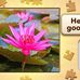 Michelle Longhurst - Facebook