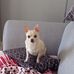 Michelle Longley - Facebook