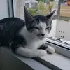 @Luke_Nina - @michelle_loud - TikTok