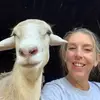 Michelle Loyd - @sheepanigans - TikTok