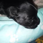 Michelle Luberto - Facebook