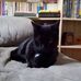 Michelle Luckey - Facebook