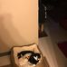 Michelle Ludlow - Facebook