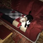 Michelle Ludlow - @ludlow303 - Instagram