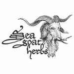 Michelle Lundquist - @seagoatherbs - Instagram