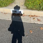 Michelle Lunn - @divinelydisappointed - Instagram