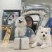 Michelle Luo - Facebook