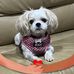 Michelle Lyall - Facebook