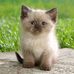 Michelle Lye - Facebook